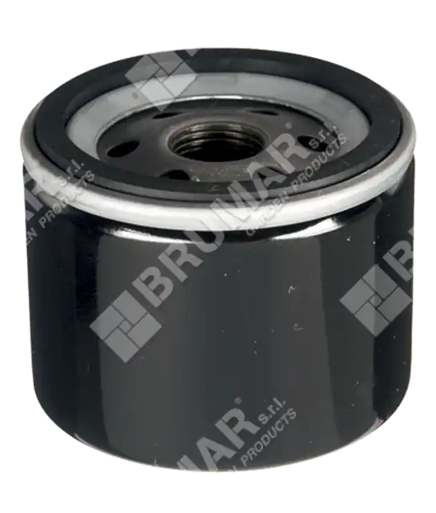 Filtro olio per motori BRIGGS & STRATTON – 006797 Bestel Nu