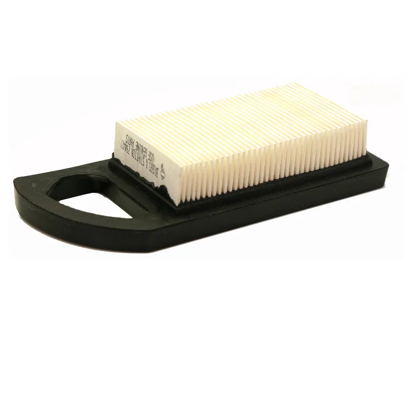 Filtro Aria AVS da 11,5 a 13,5 HP 21A900, 21B900 BRIGGS & STRATTON Voordeelprijs