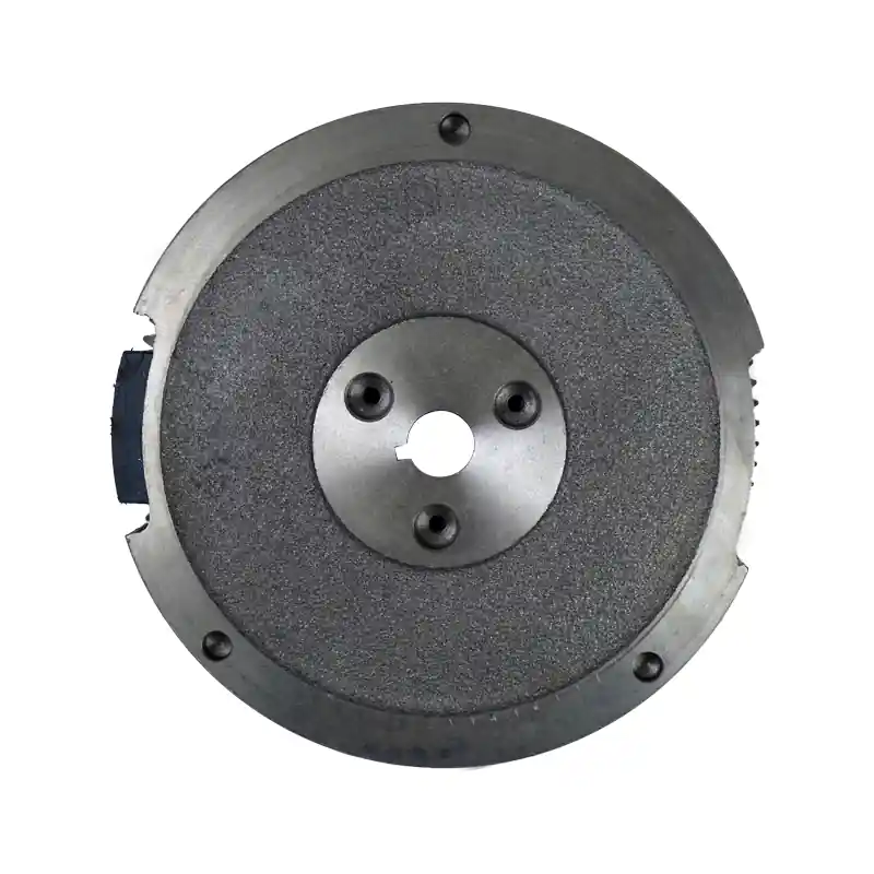 Avviamento a volano magnetico per motori 4 tempi 9cv Koop Vandaag