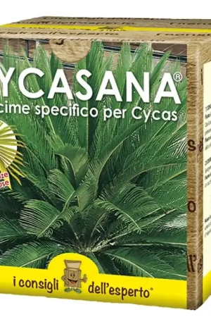 Betrouwbaar Concime Cycasana 750 Gr - I consigli dell‘esperto