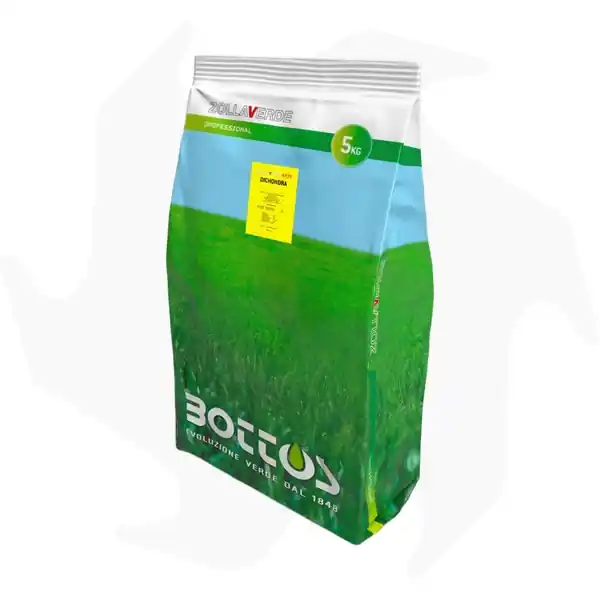 Aanbieding Dichondra Repens Bottos – 5Kg Sementi dicondra repens tappezzanti per tappeto folto a bassa manutenzione