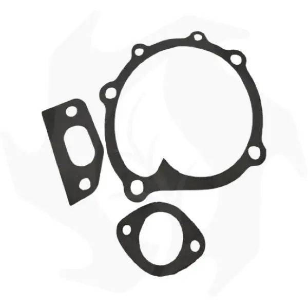 Goedkoop Kit guarnizioni completa per pompa acqua Fiat tipo basso 4679242