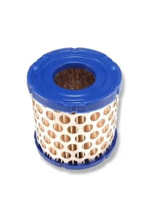 Actieprijs FILTRO ARIA BRIGGS & STRATTON 392308S