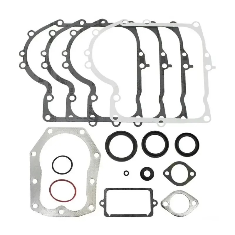 SET GUARNIZIONI BRIGGS & STRATTON 494241 Laatste Versie