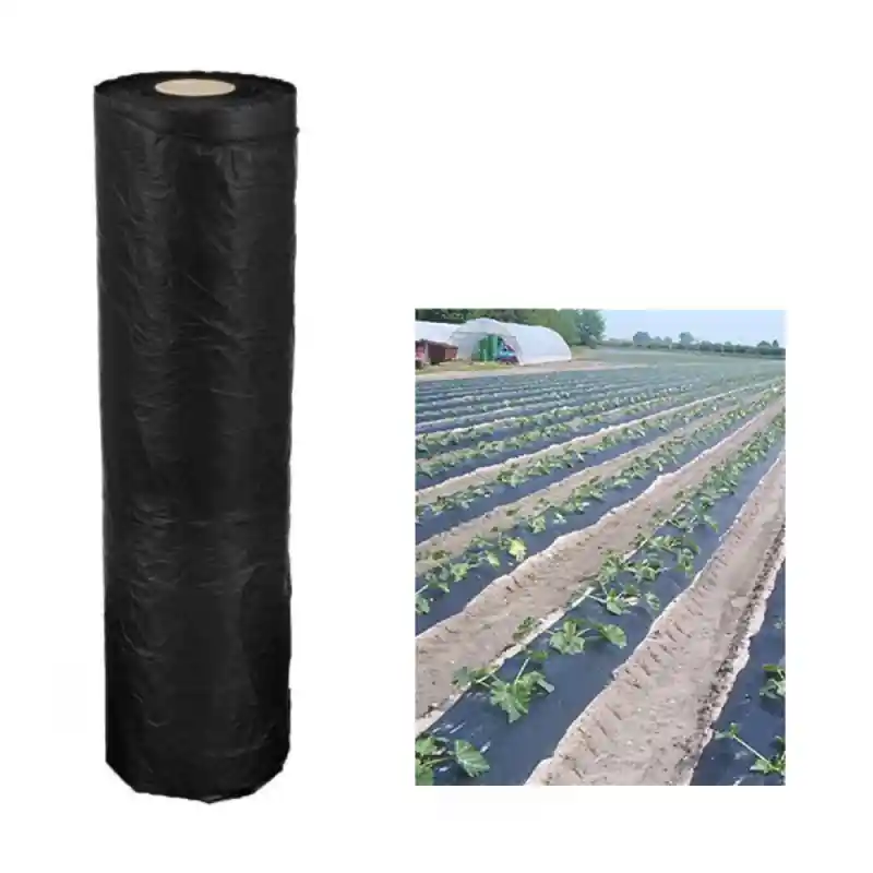 Veilige Betaling Telo Pacciamatura Biodegradabile Mater-BI 18 um - 0.80 x 250 Mt - Stocker