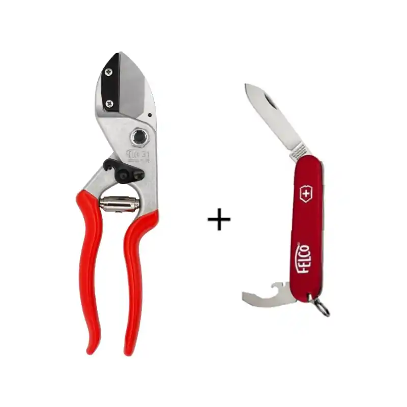 FELCO 31 - Forbice da potatura professionale F31 + Coltellino omaggio Voordeelprijs