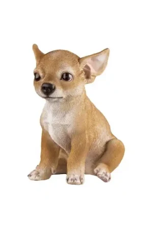 Koop Vandaag Chihuahua Franco in Vetro Resina cm 18